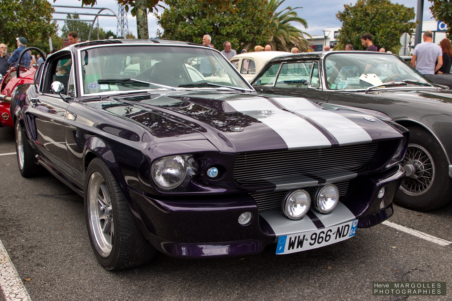 Ford Mustang Cobra 350 Shelby_01.jpg